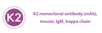 Mouse anti double-stranded RNA (K2) 小鼠抗双链RNA单克隆抗体 (K2)
