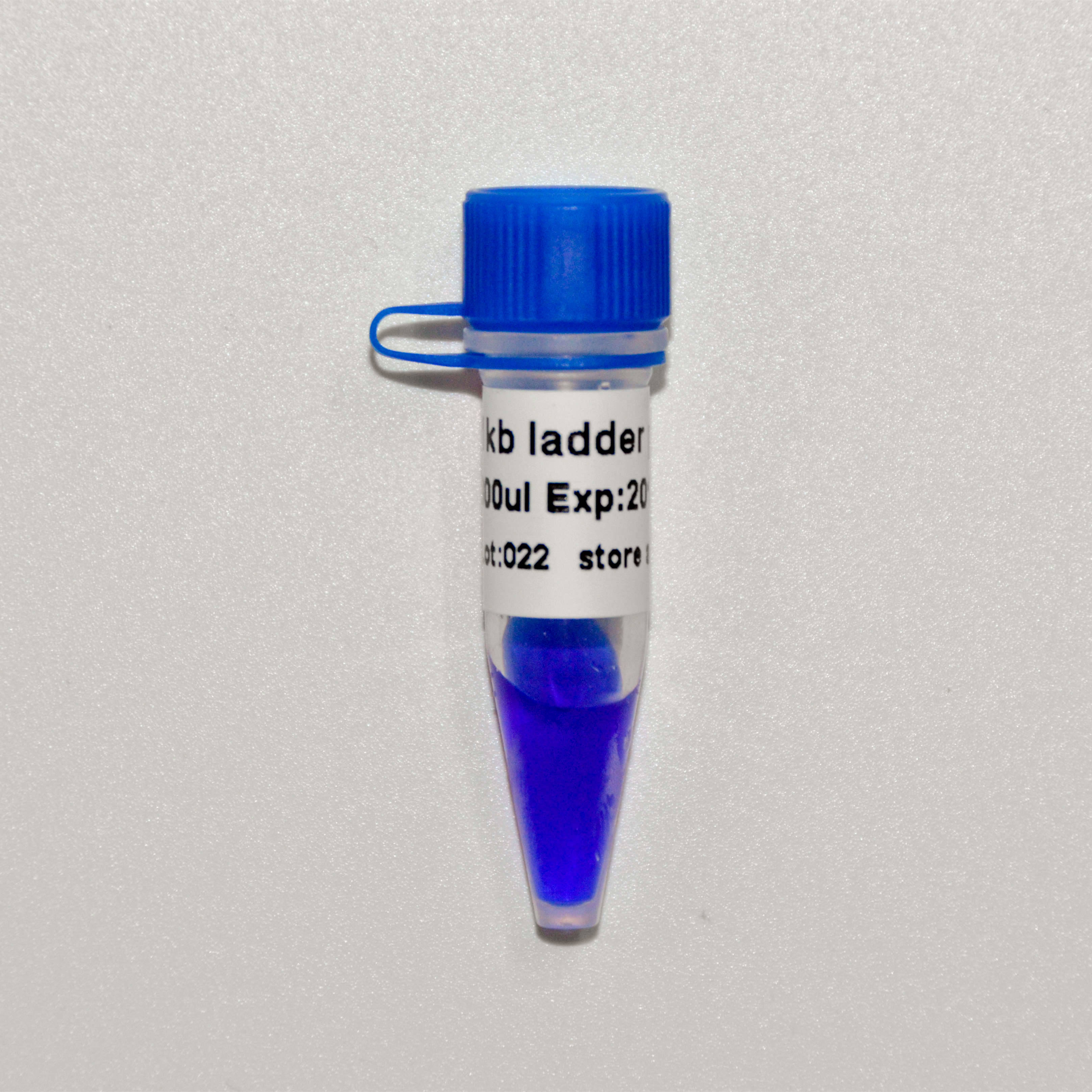 DNA Marker 1kb ladder plus（M1191-M1192）