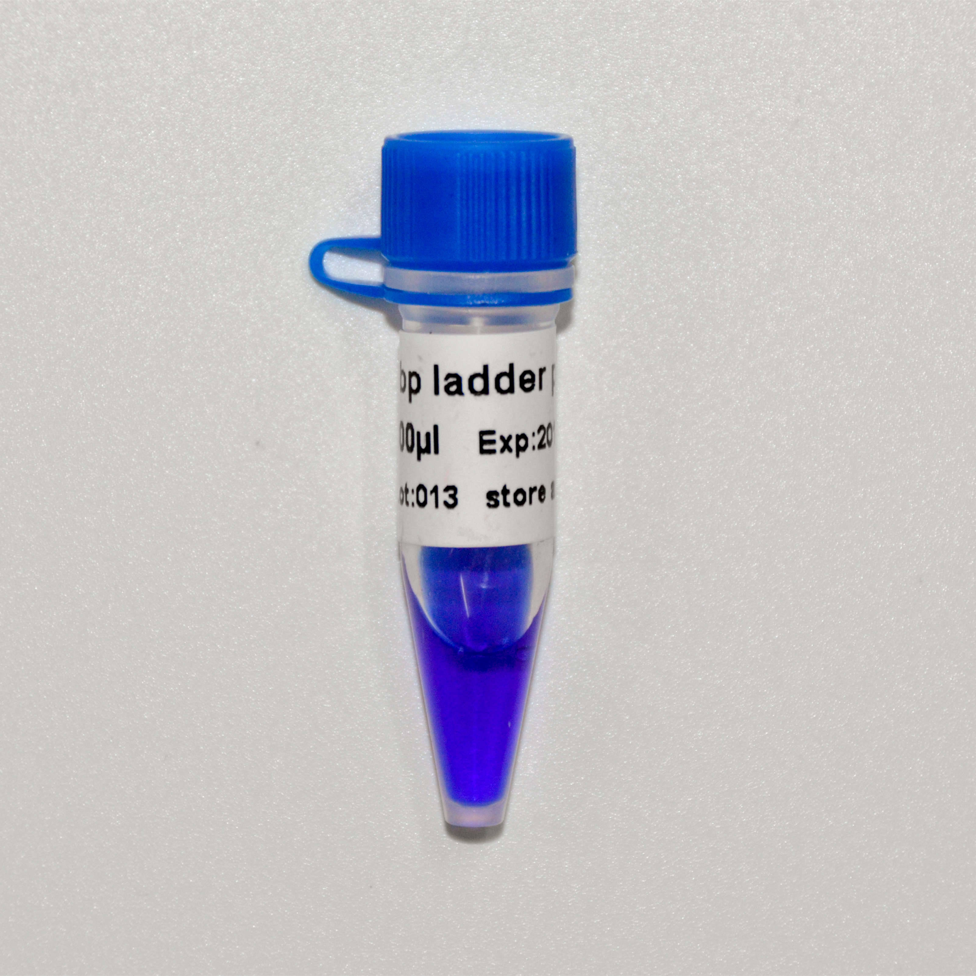 DNA Marker 50bp ladder plus(M1051-M1052)