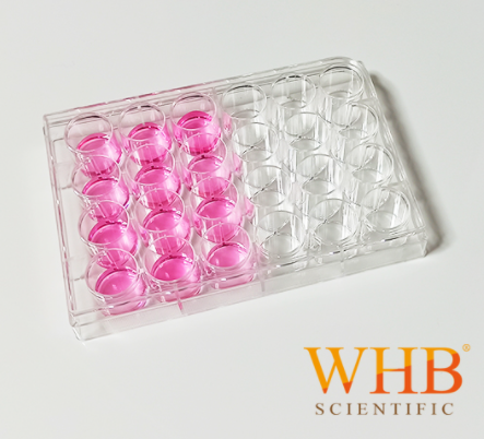 细胞培养板 Cell Culture Plates