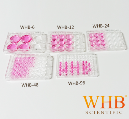 细胞培养板 Cell Culture Plates