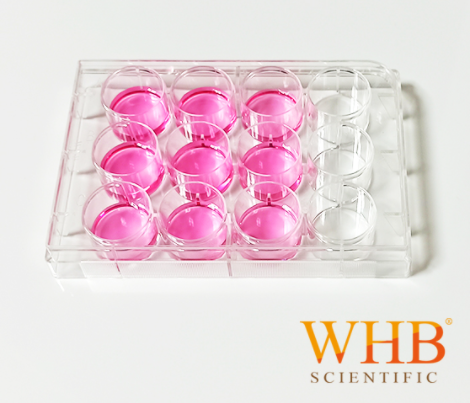 细胞培养板 Cell Culture Plates
