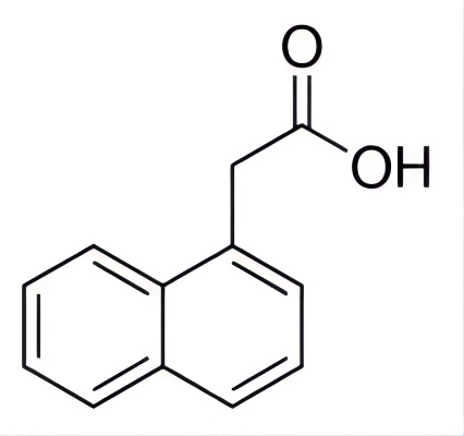 1-Naphthylacetic acid1-萘乙酸溶液，无菌 （NBS1641）