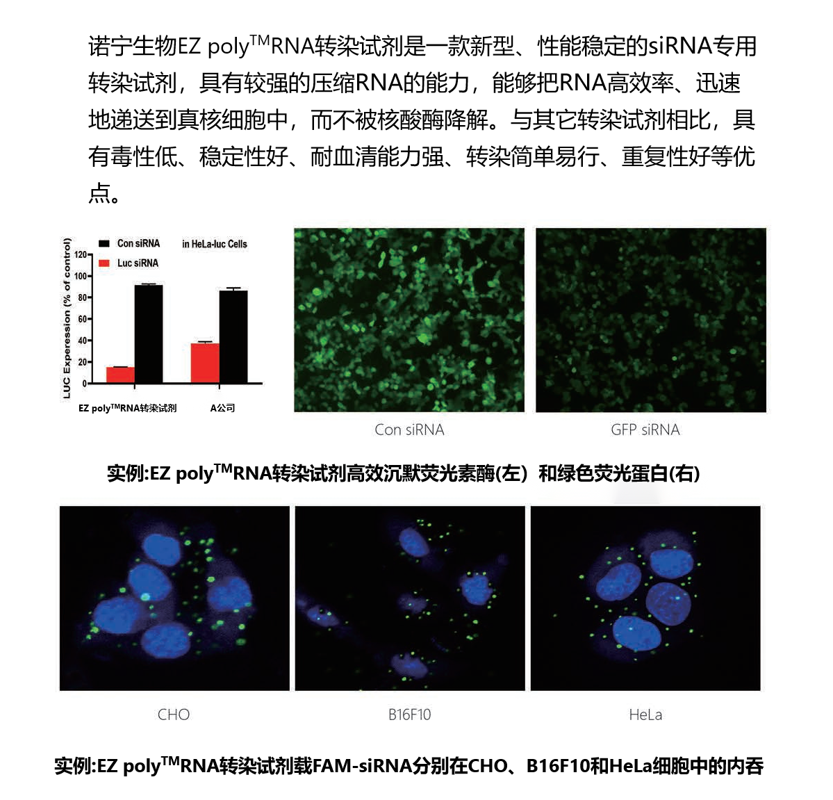 EZ poly™RNA转染试剂（NBS9425）