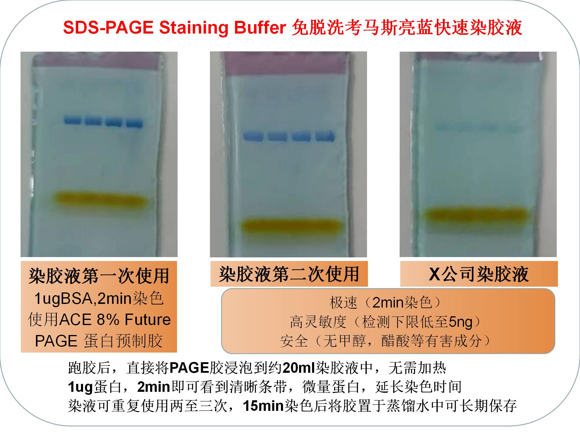 免脱洗考马斯亮蓝快速染胶液（NBS5202）