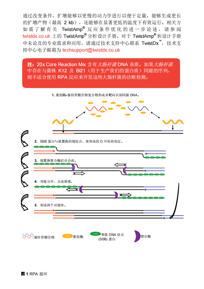 TwisDx   TwistAmp®Liquid Basic 试剂盒（TALQBAS01）