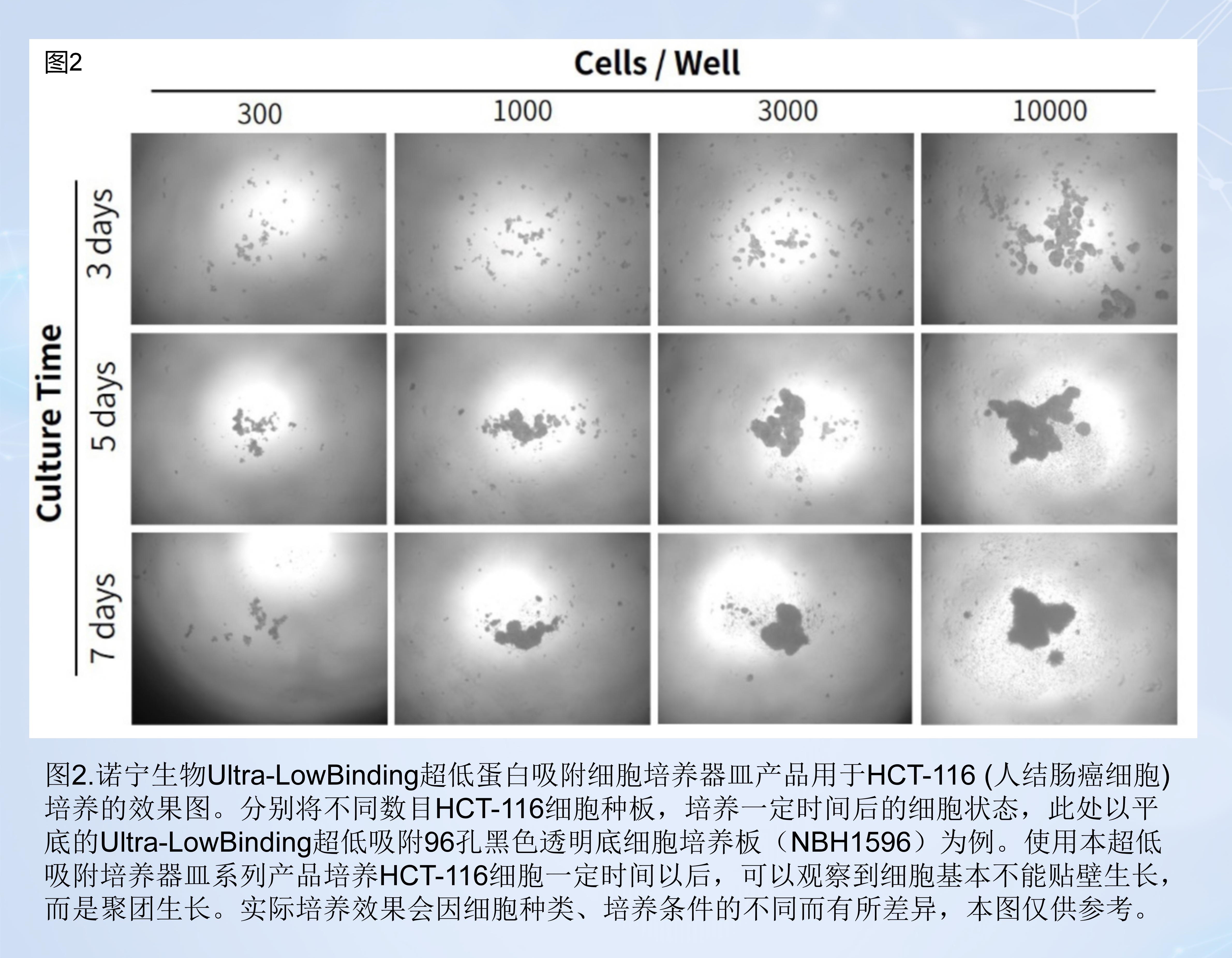 Ultra-Low Binding超低吸附96孔白色细胞培养板（NBH1496）