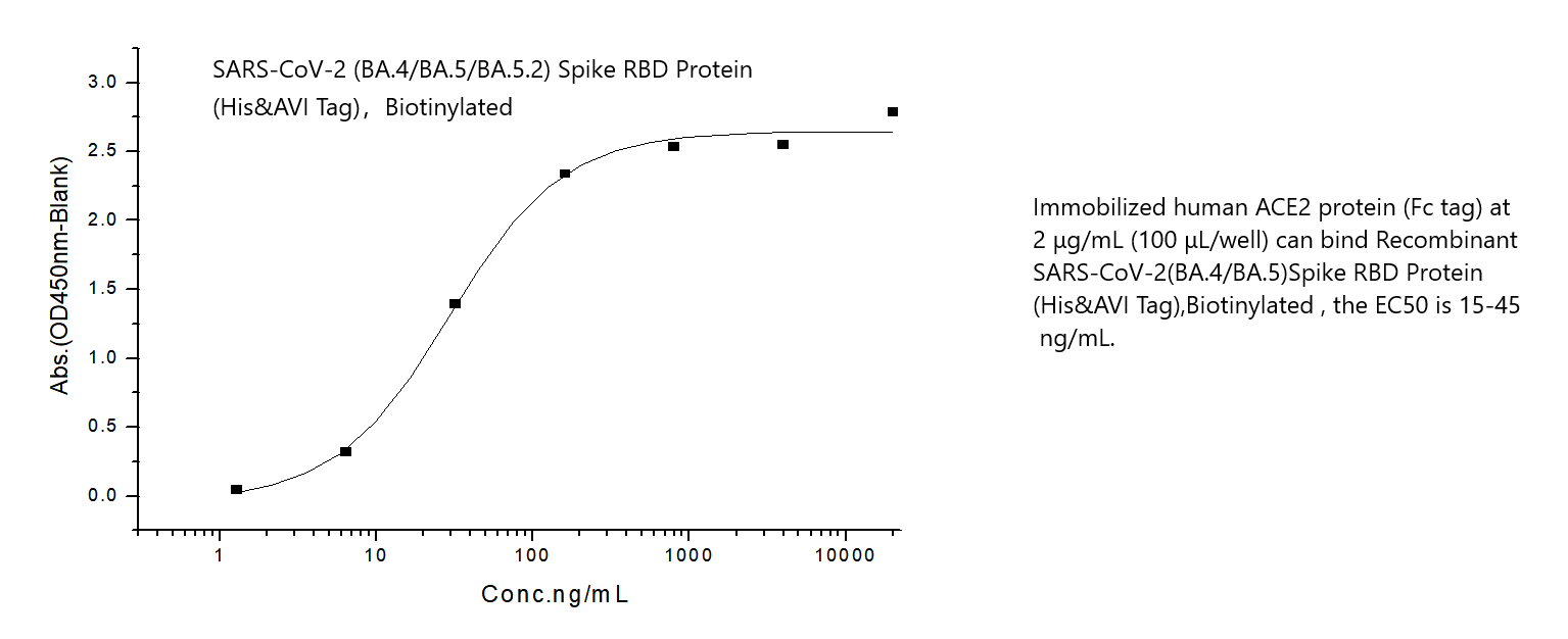 SARS-CoV-2 (BA.4/BA.5/BA.5.2) Spike RBD Protein (His&amp;AVI Tag)，Biotinylated(NBS4592-20ug)