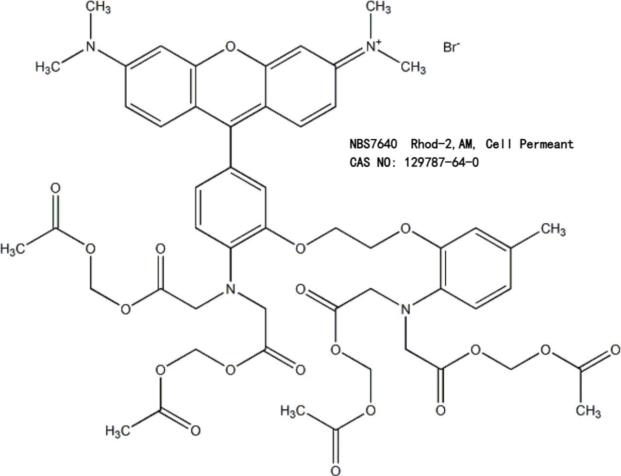 Rhod-2, AM, Cell Permeant 钙离子荧光探针，超级纯（NBS7640）