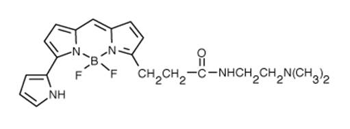 Thermor Life LysoTracker® Red DND-99 红色溶酶体荧光探针（L7528）